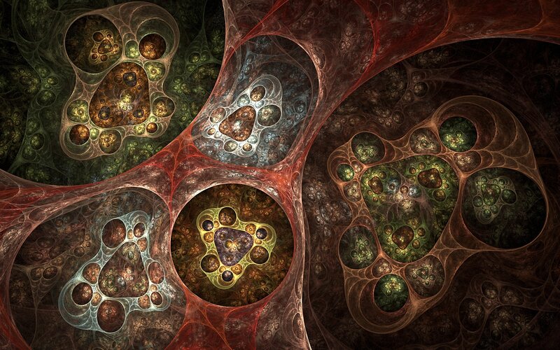 Fractal organic network