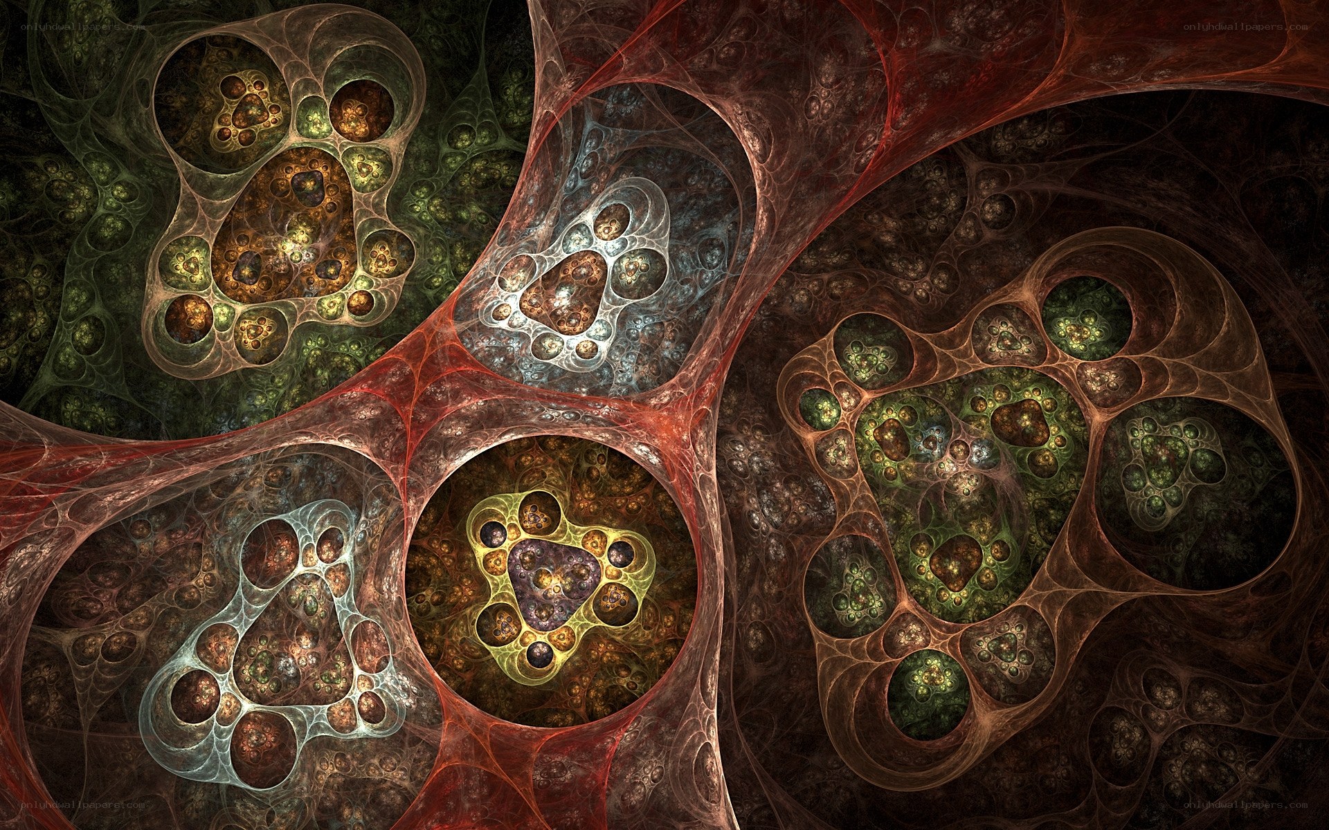 Fractal organic network
