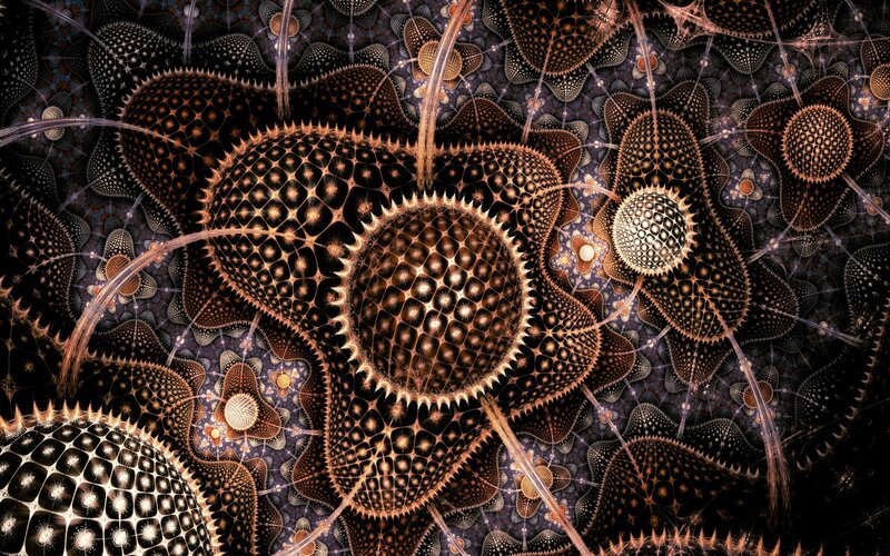 fractal organic patterns