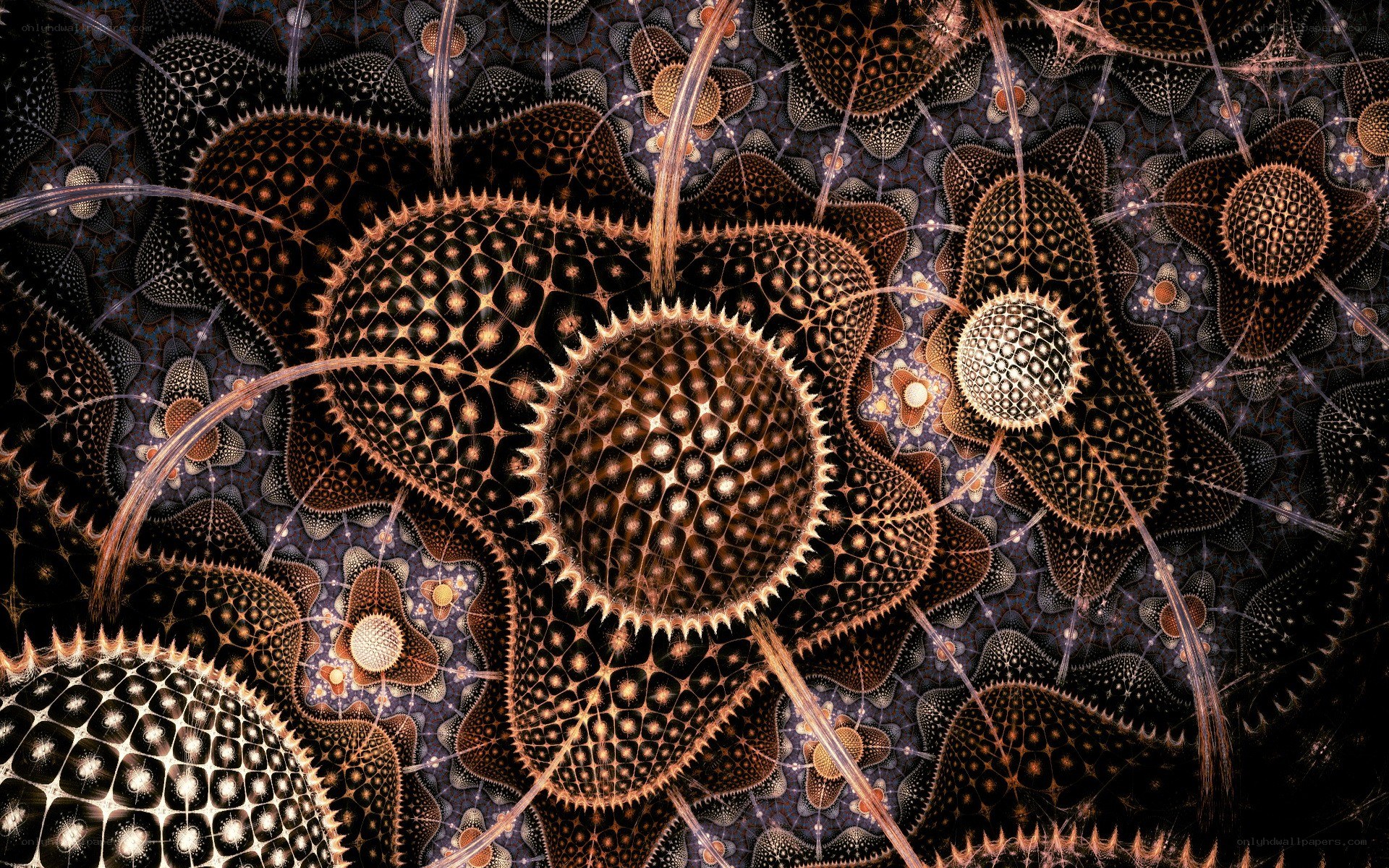 fractal organic patterns