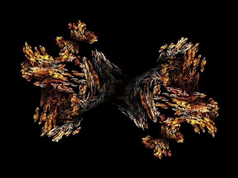 Fractal organic structure