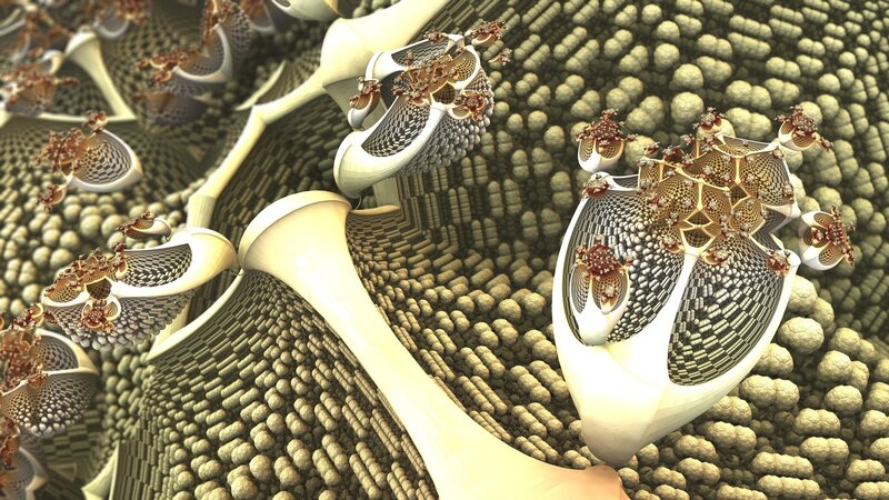 fractal organic structures