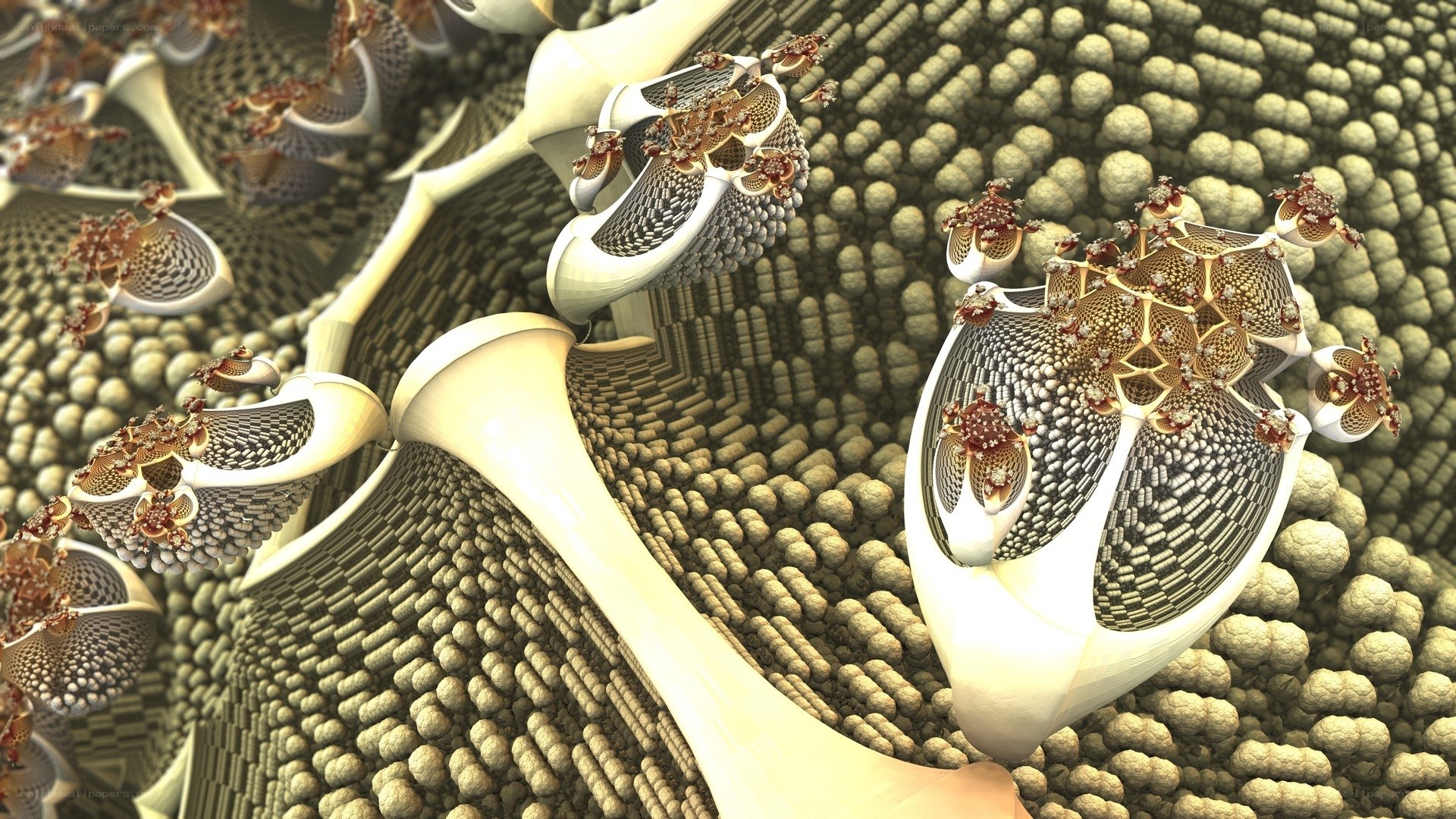 fractal organic structures