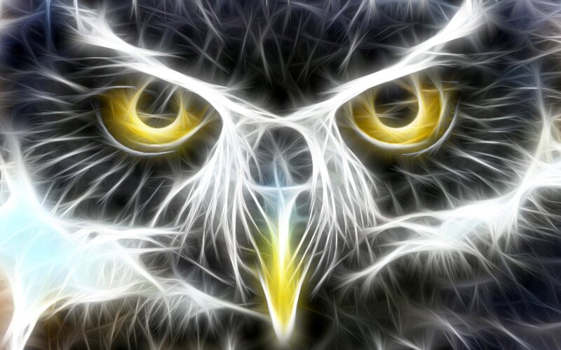 fractal owl eyes