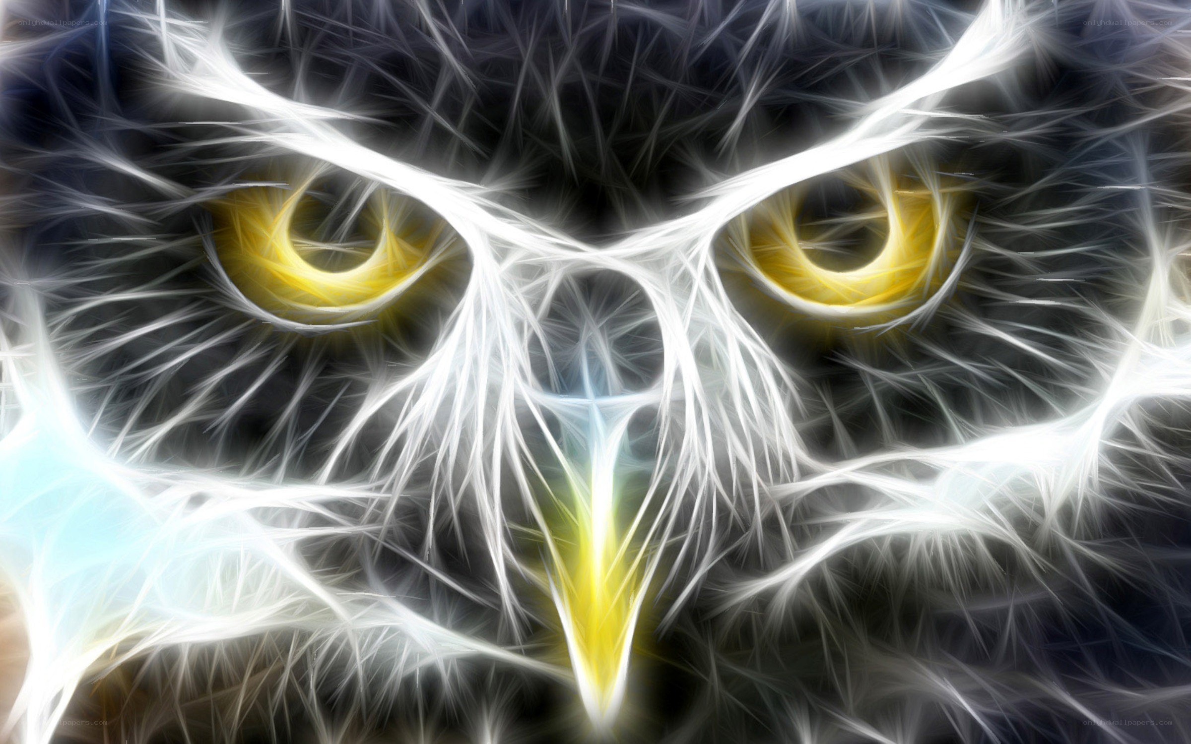 fractal owl eyes