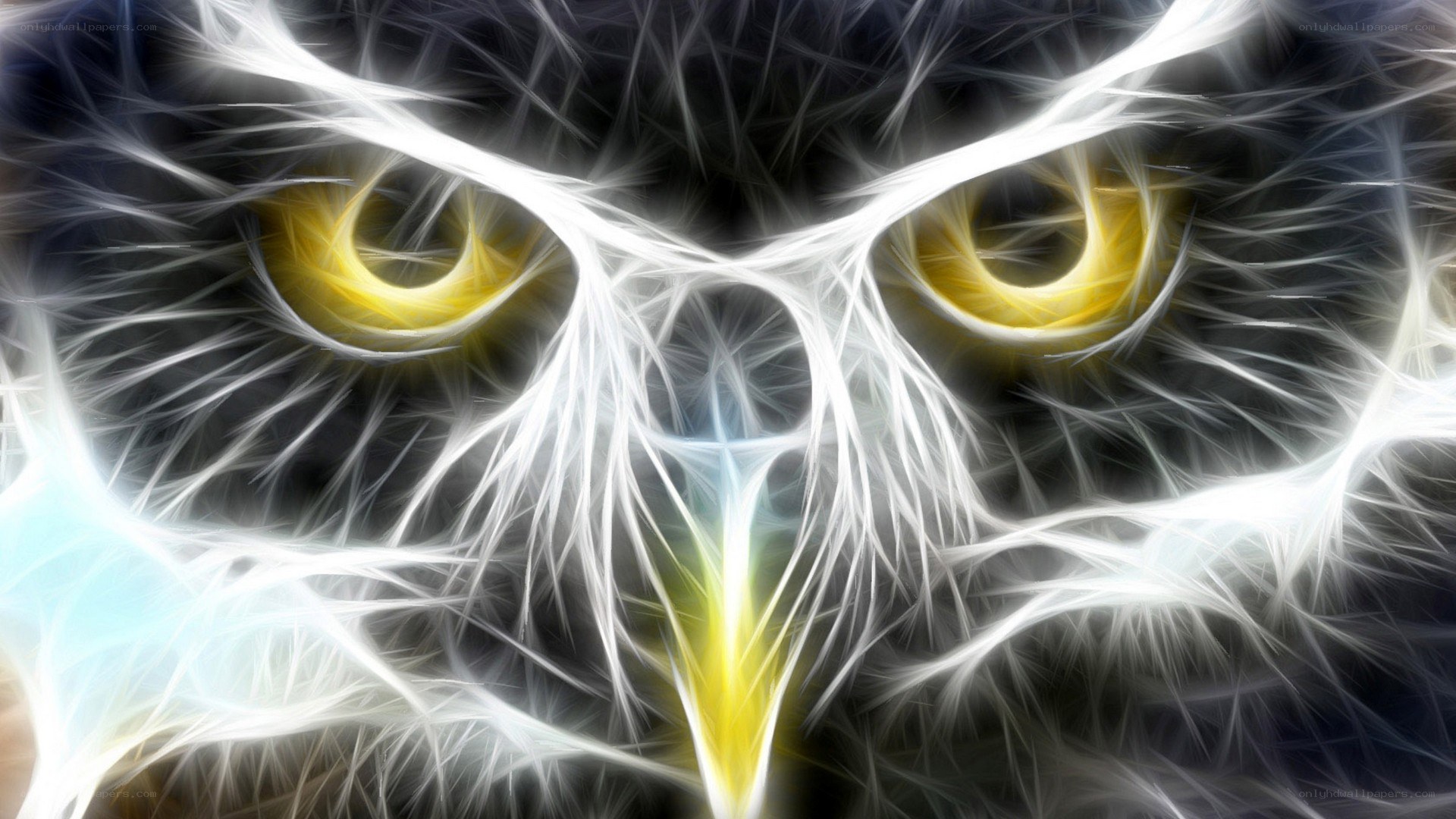 fractal owl eyes
