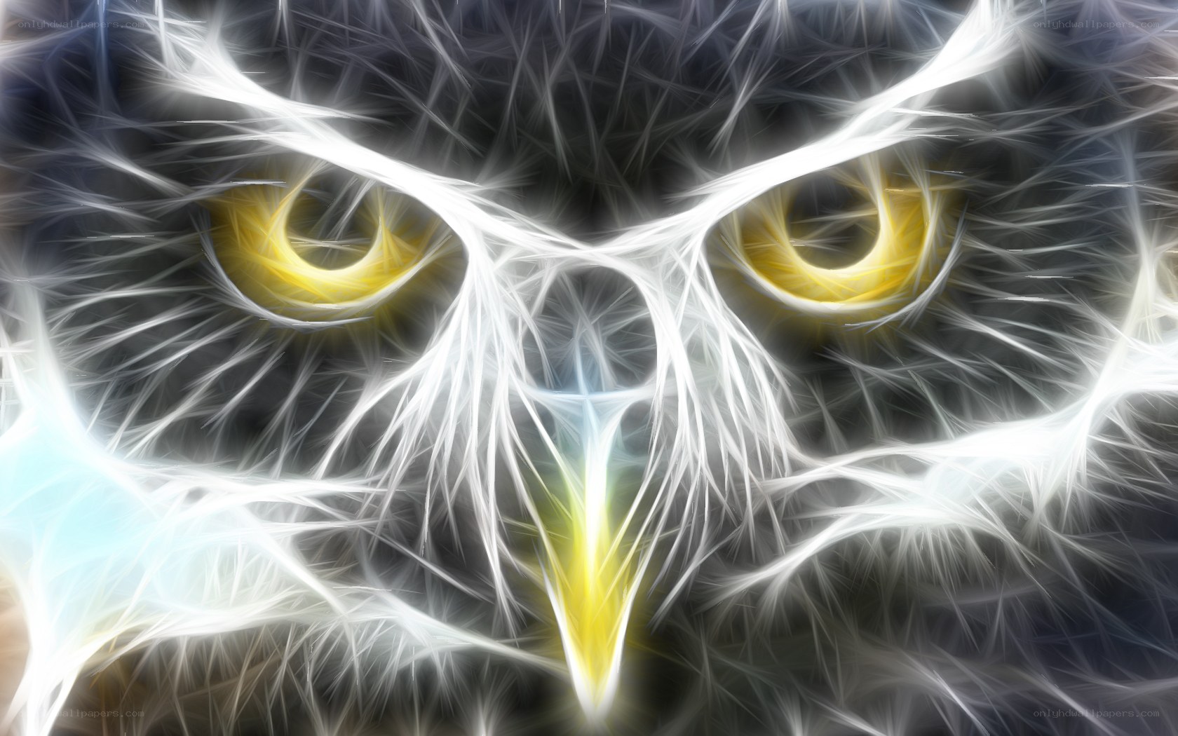 fractal owl eyes