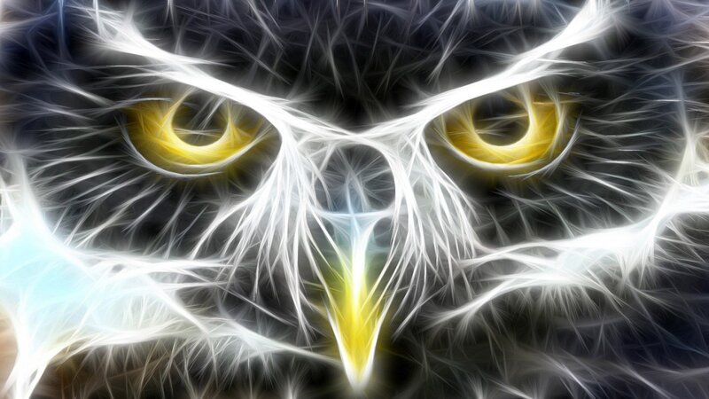Fractal Owl Face — White, Intense