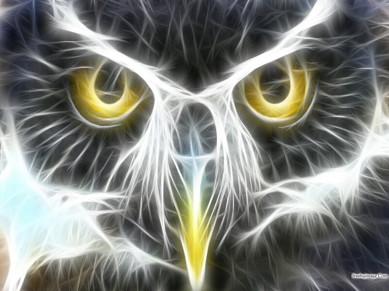 Fractal Owl Face — White