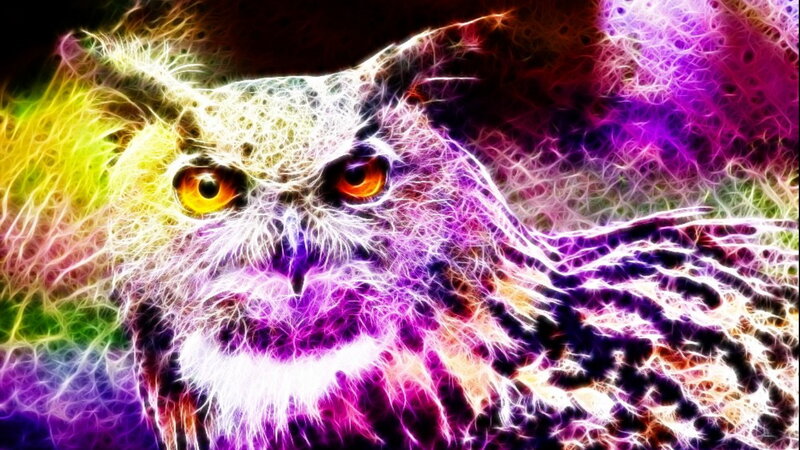 Fractal Owl Portrait — Purple