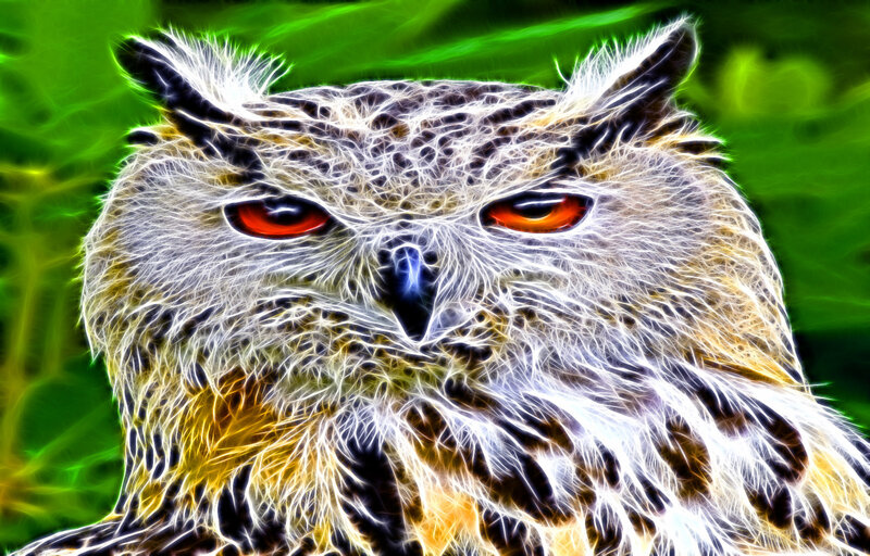 fractal owl portrait