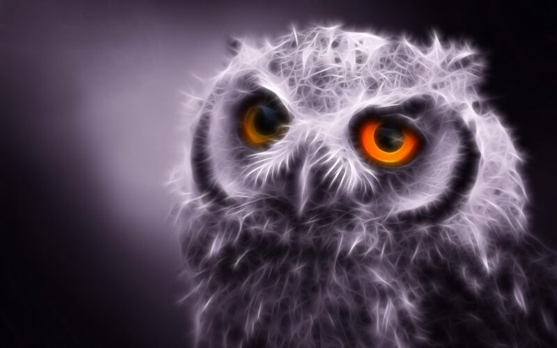 fractal owl with glowing eyes