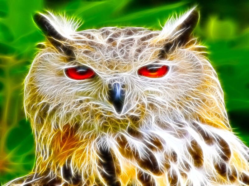 fractal owl with red eyes