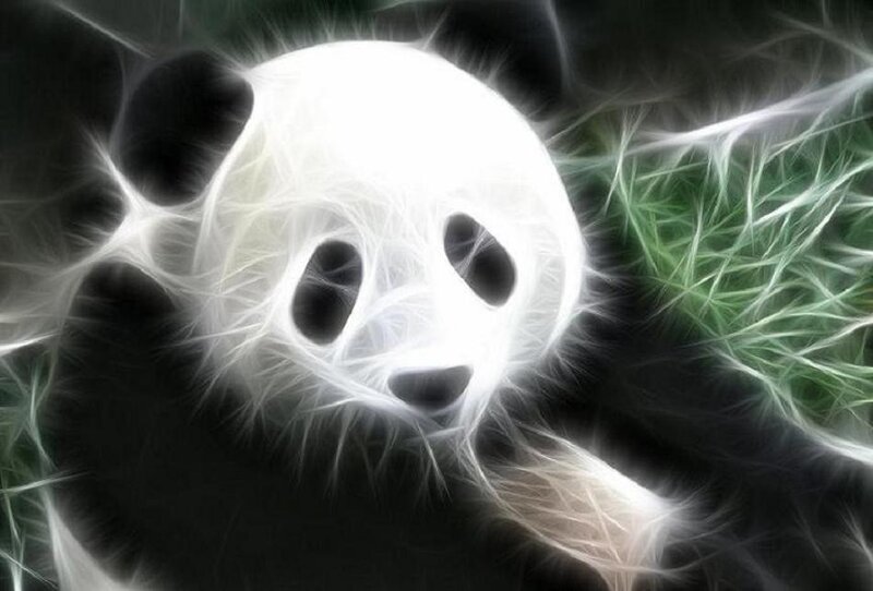 fractal panda illustration