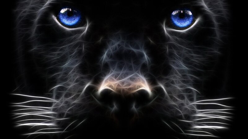 fractal panther with blue eyes