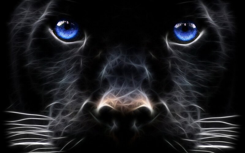 fractal panther with blue eyes