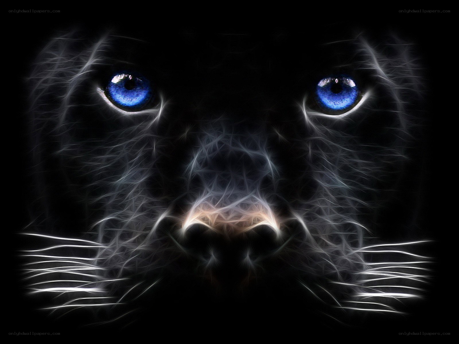 fractal panther with blue eyes