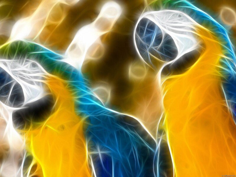 Fractal Parrot Design