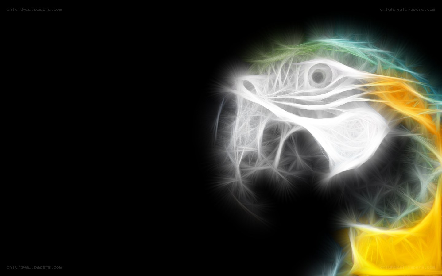 fractal parrot head