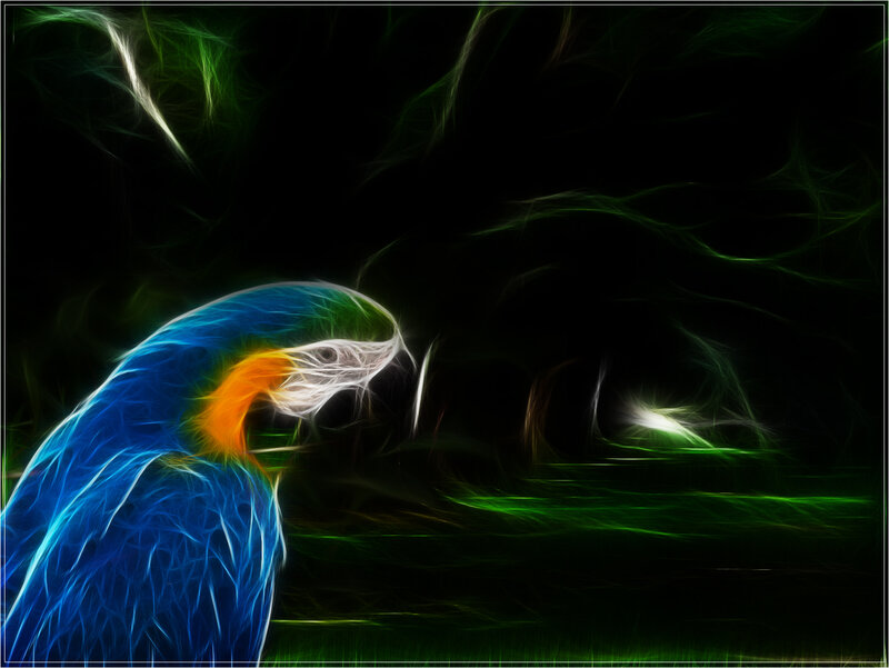 fractal parrot in dark forest