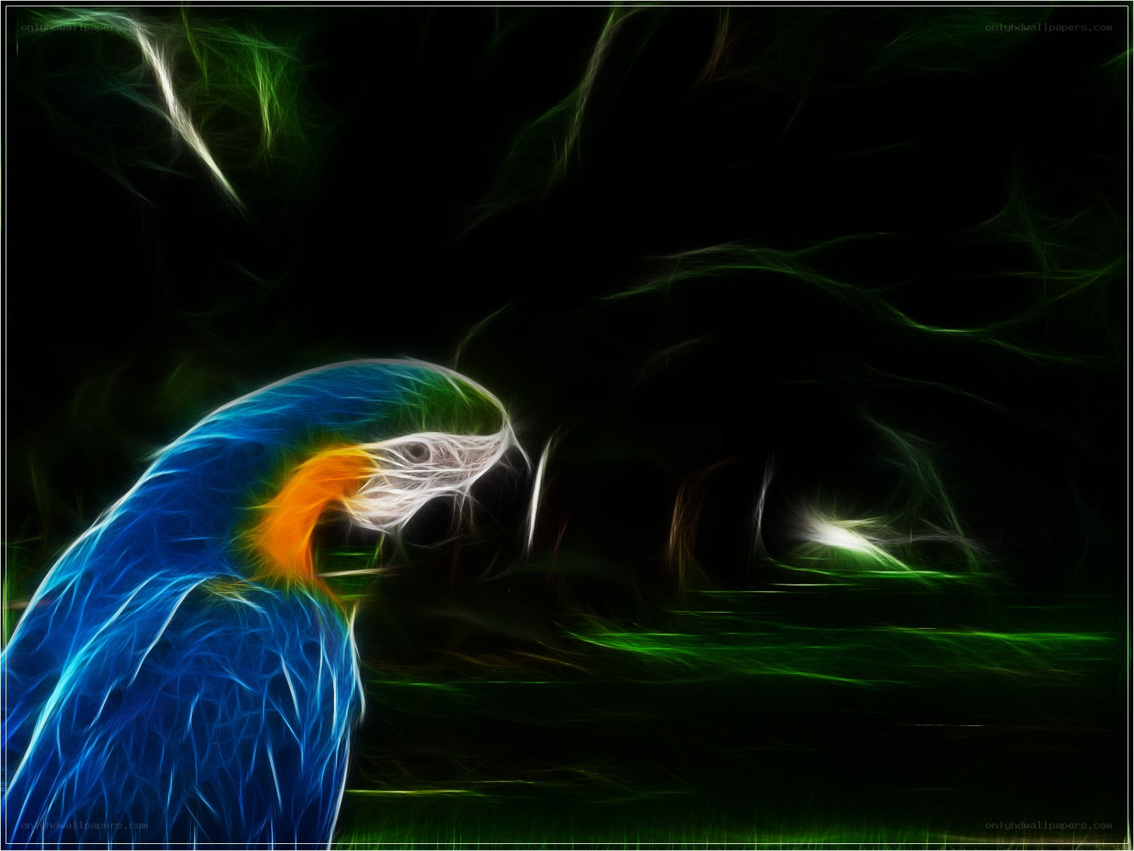 fractal parrot in dark forest