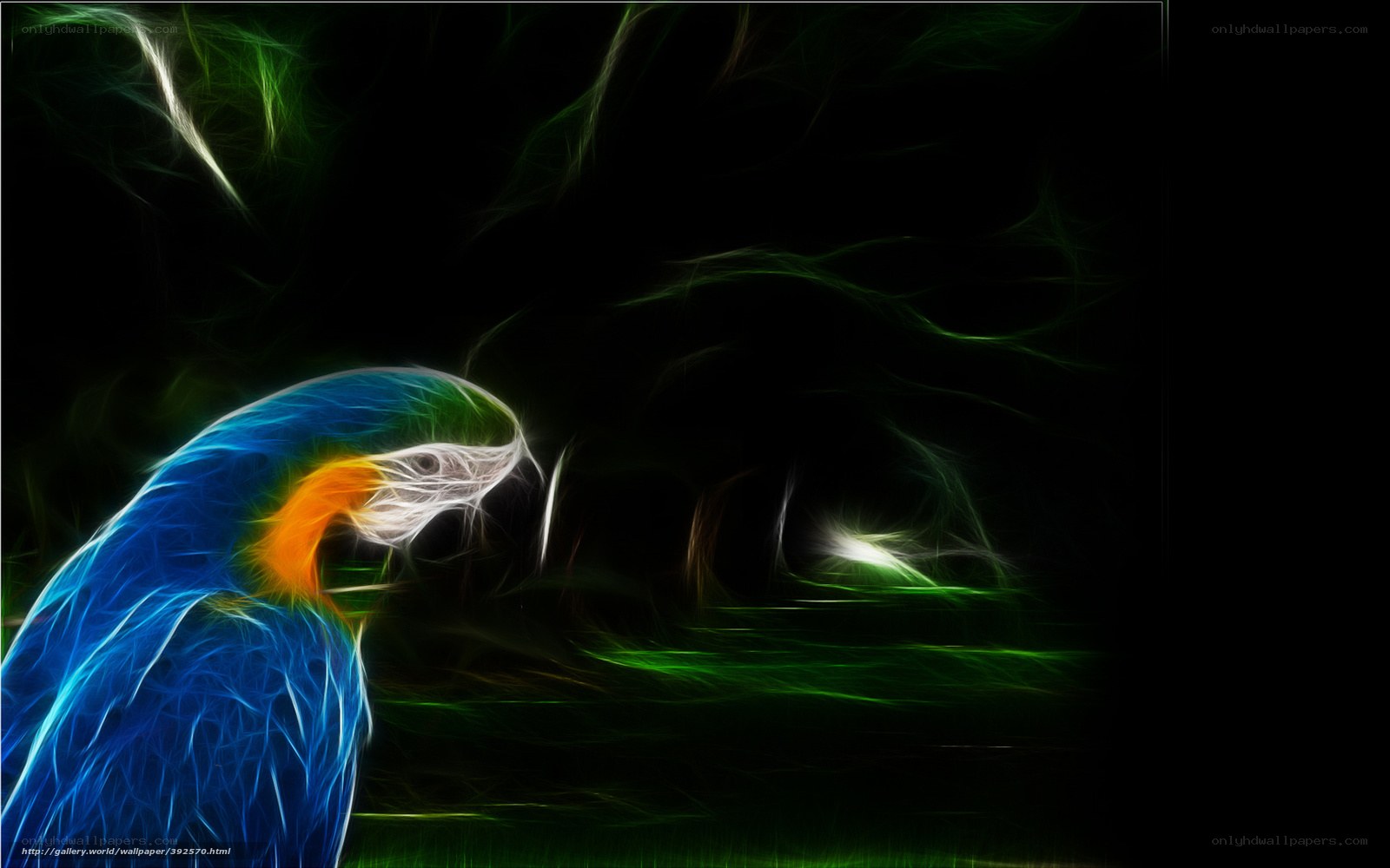 Fractal parrot in dark forest