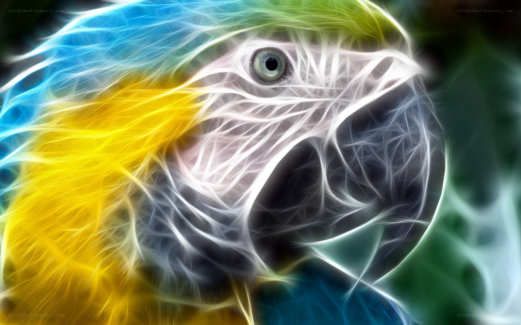 Fractal parrot portrait