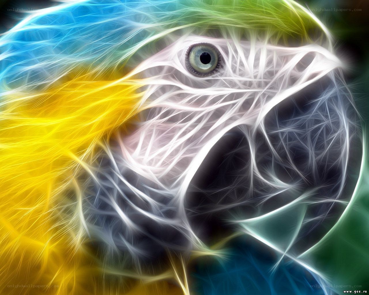 Fractal parrot portrait
