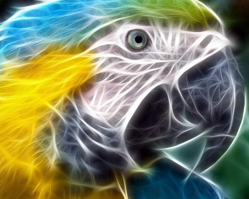 Fractal parrot portrait