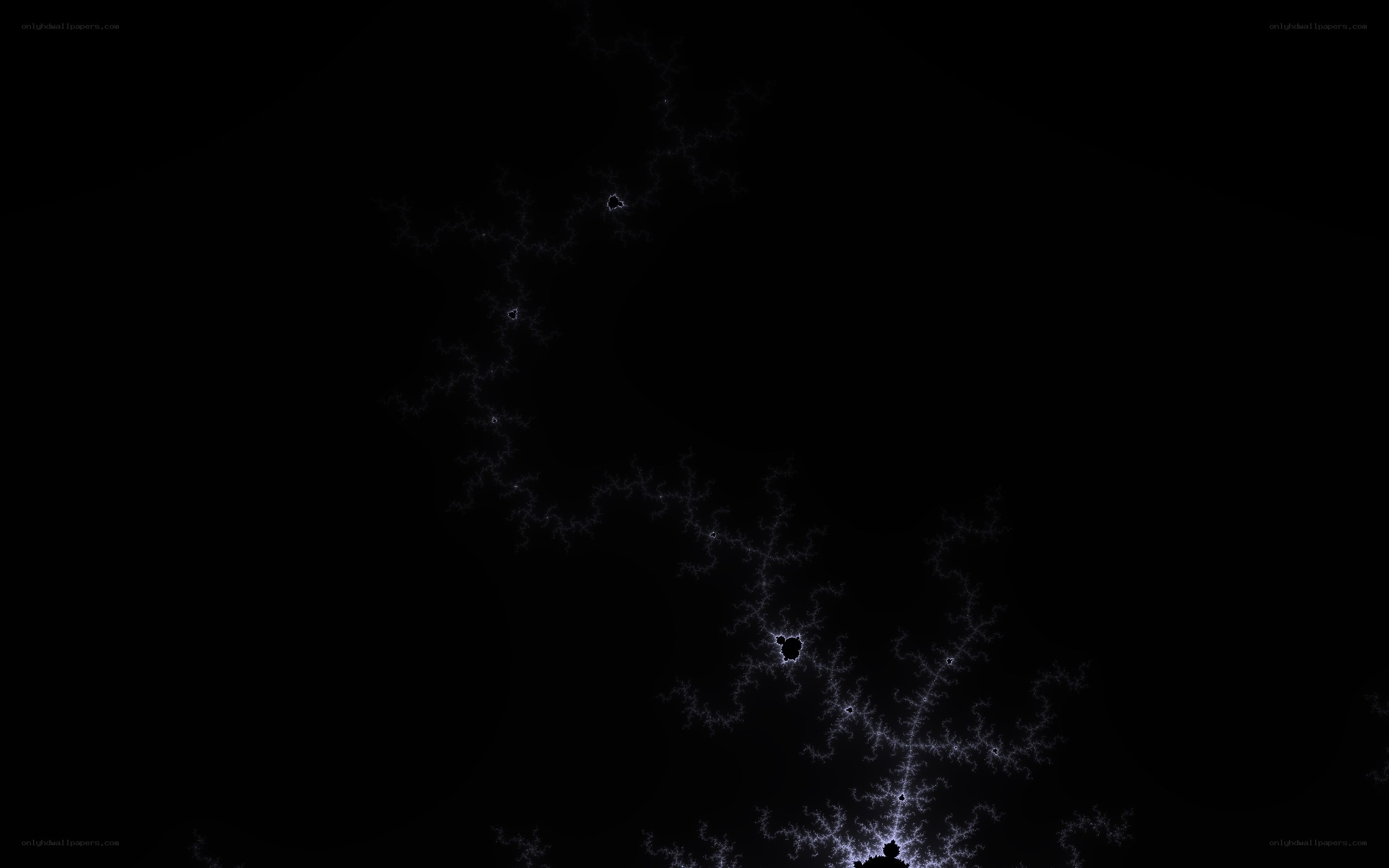 fractal pattern on black