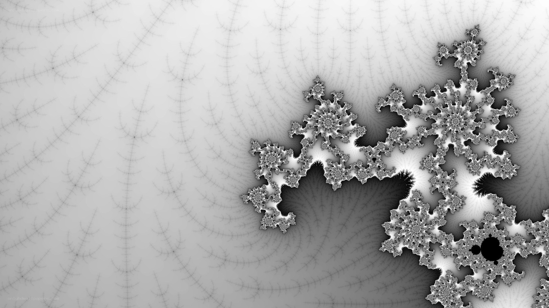 Fractal pattern on gradient background