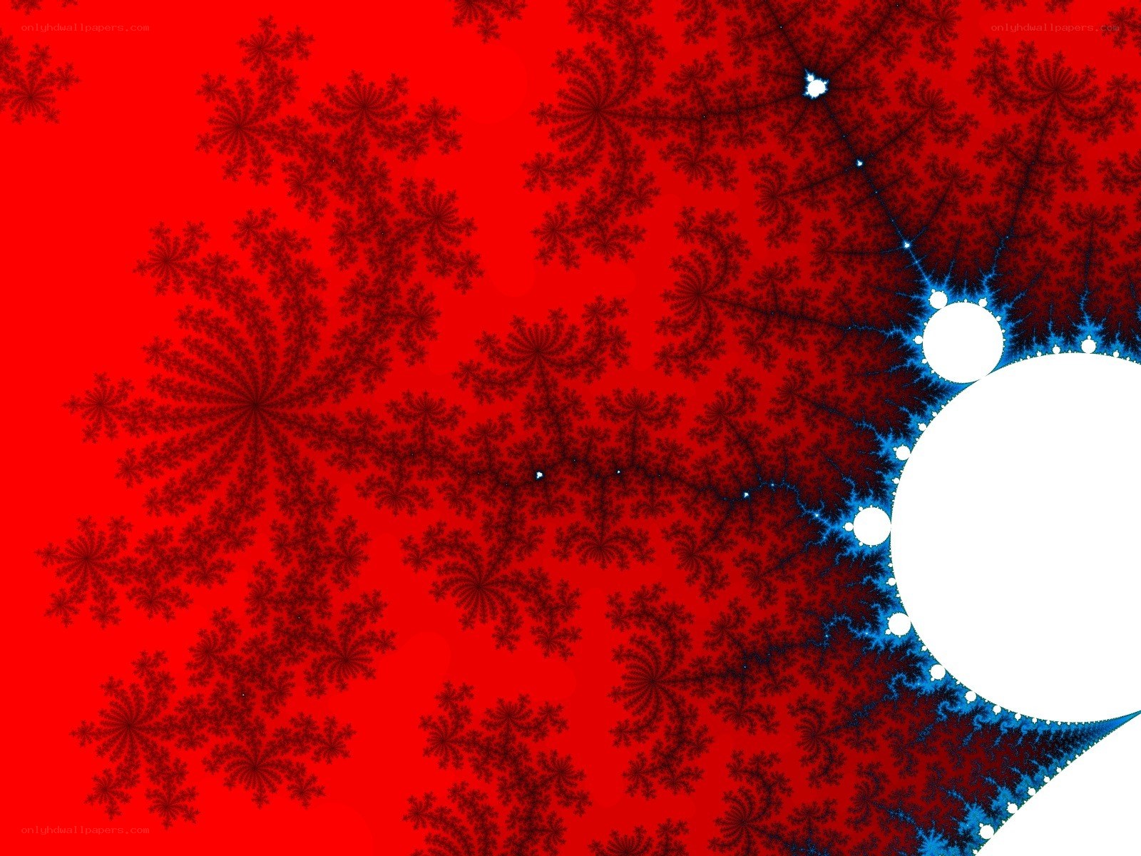 Fractal pattern on red background