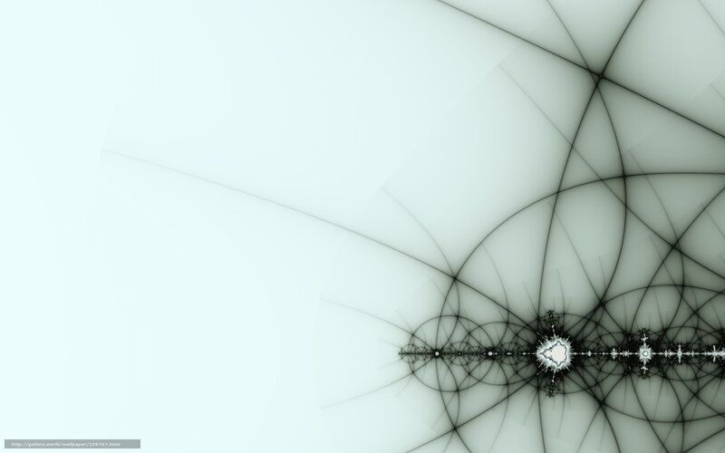 Fractal Pattern on White — Calm
