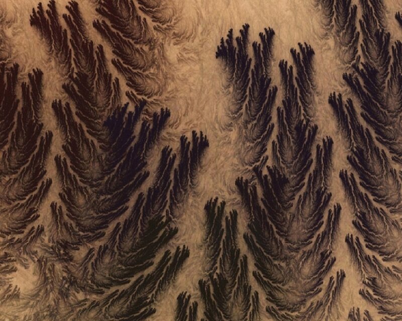 Fractal pattern resembling pine trees