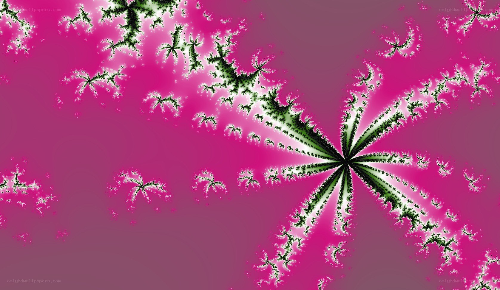 fractal pattern with green and pink