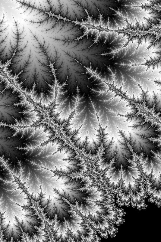 fractal pattern with intricate branches