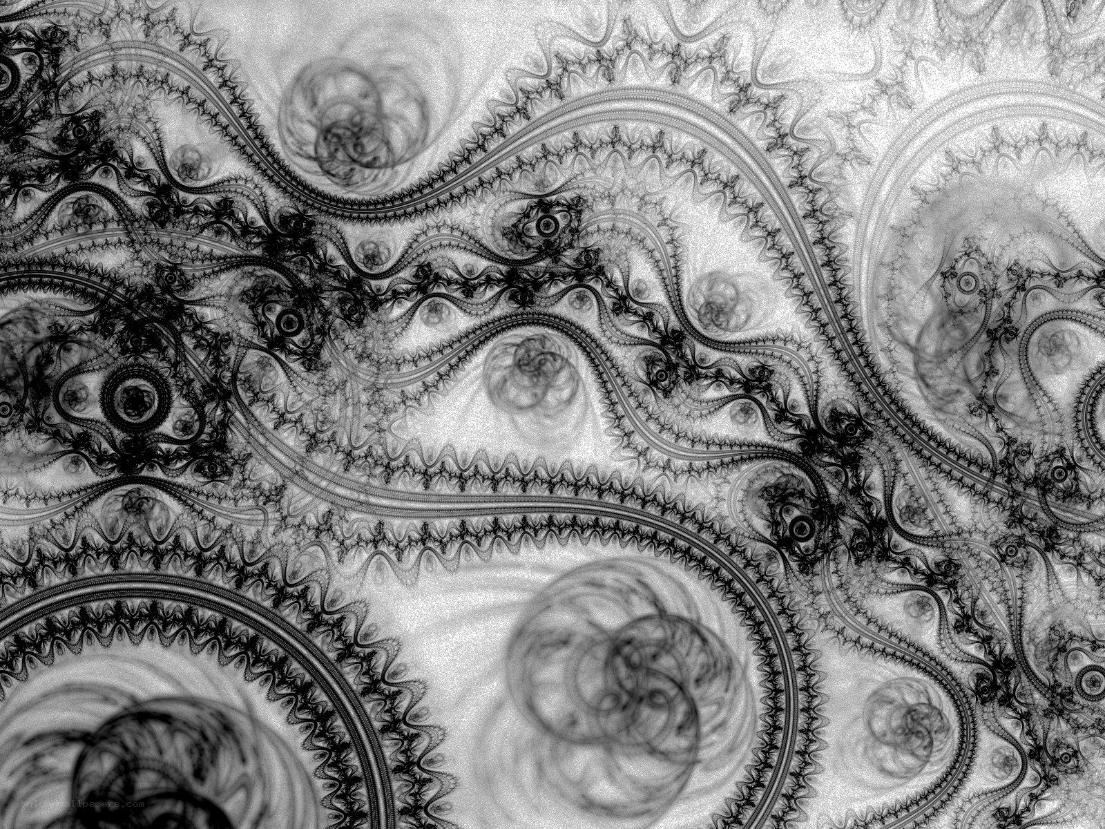 Fractal pattern with intricate swirls