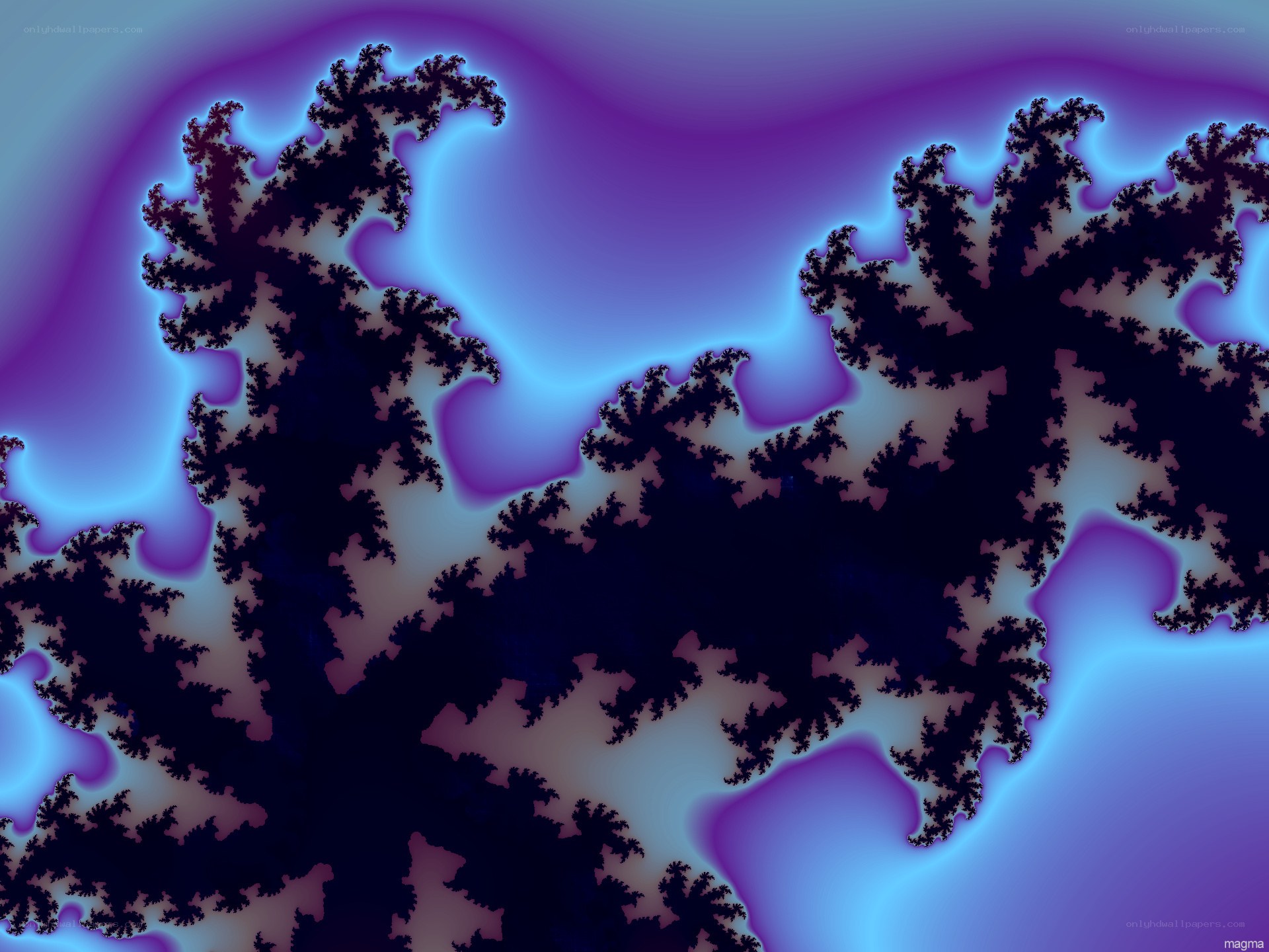 fractal pattern with purple and blue hues