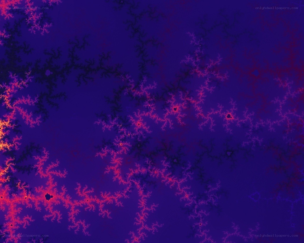 Fractal pattern with purple and red hues