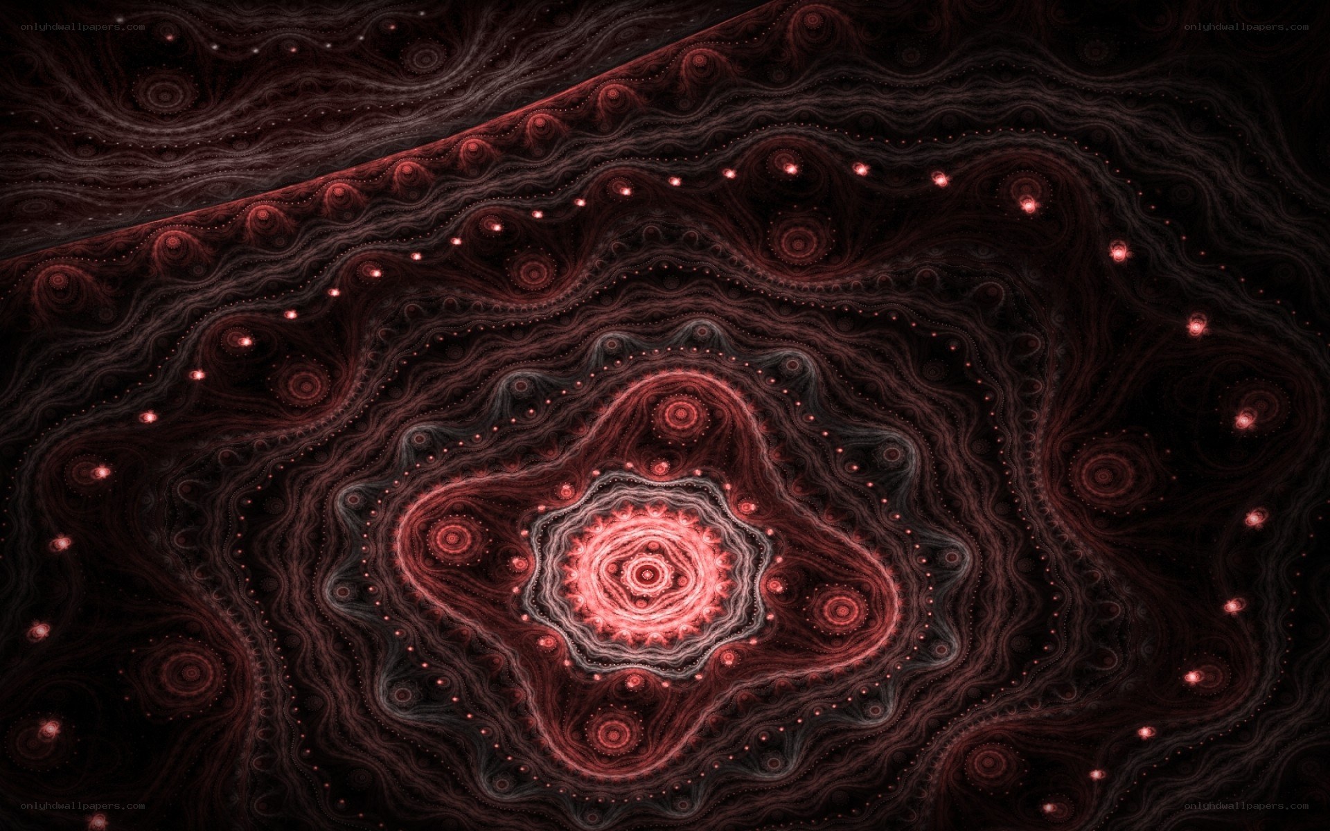 fractal pattern with red and black swirls