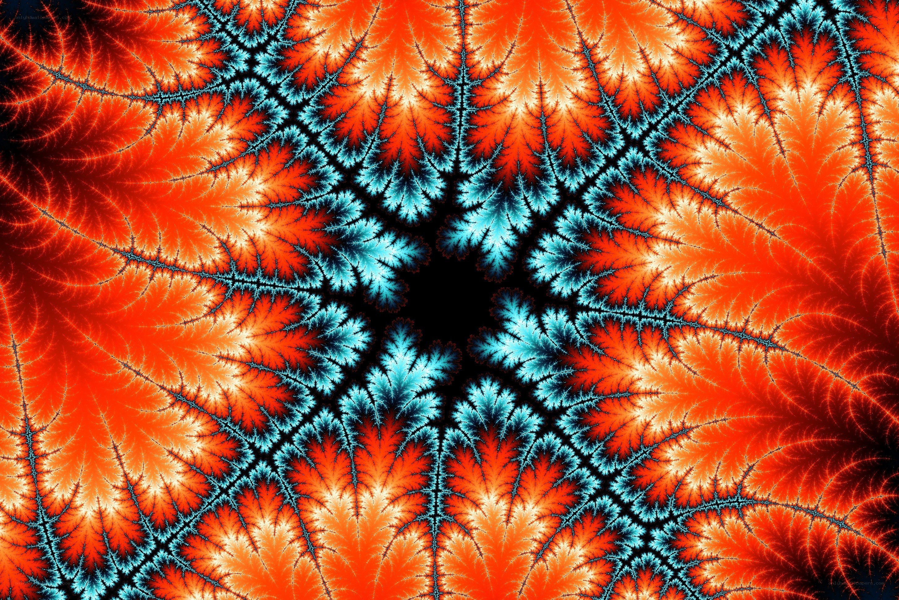 fractal pattern with red and blue colors