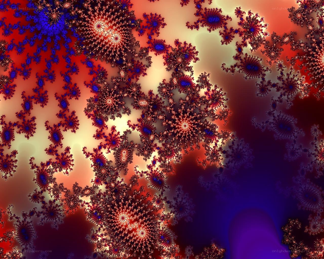 fractal pattern with red and blue hues