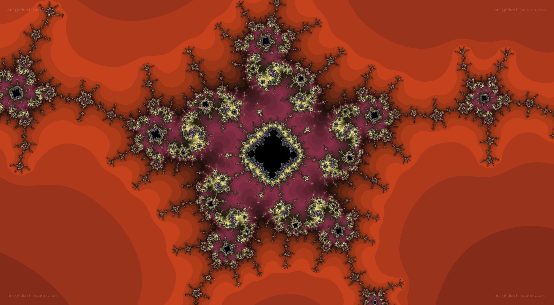 fractal pattern with red and purple hues