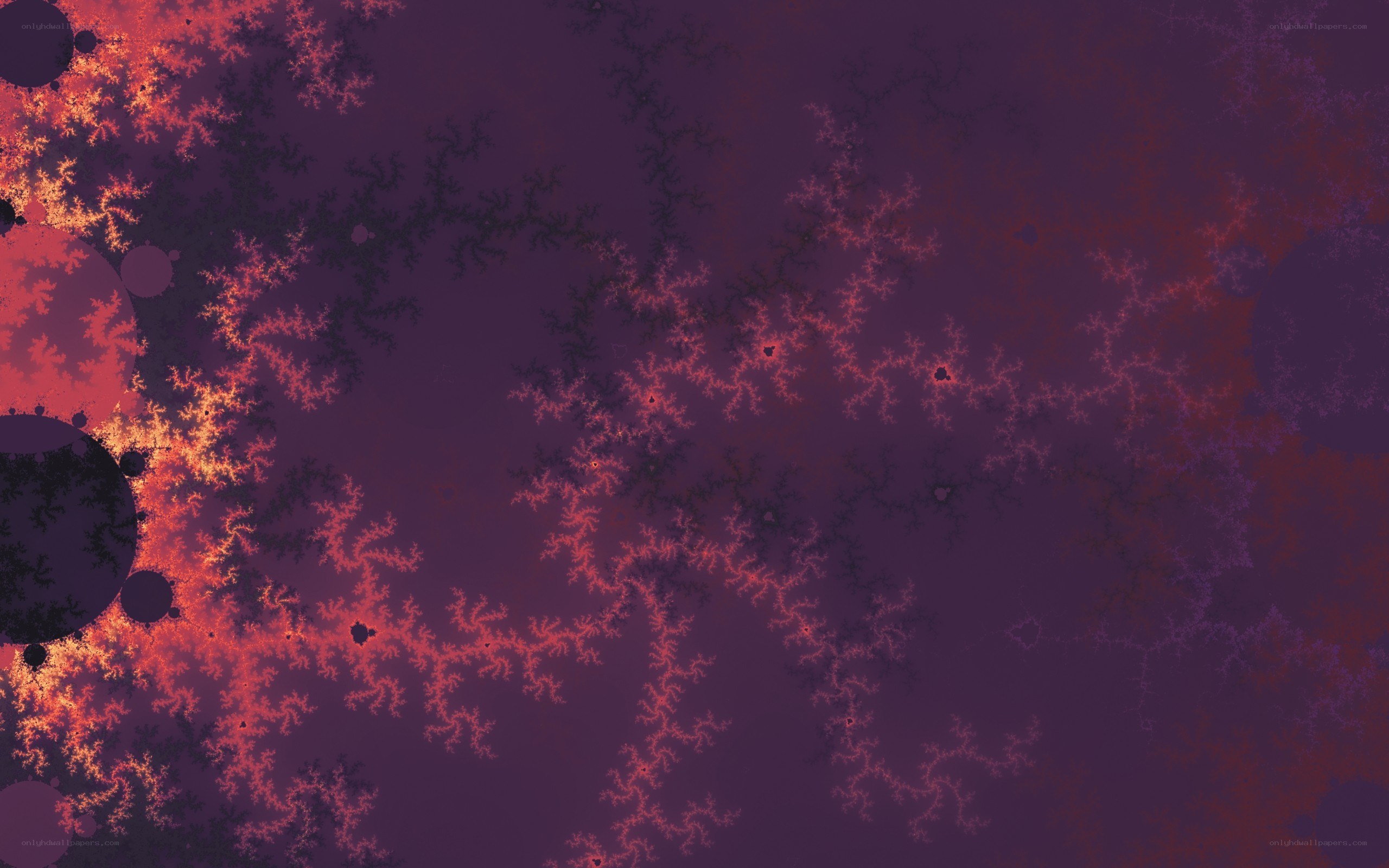 fractal pattern with red and purple hues