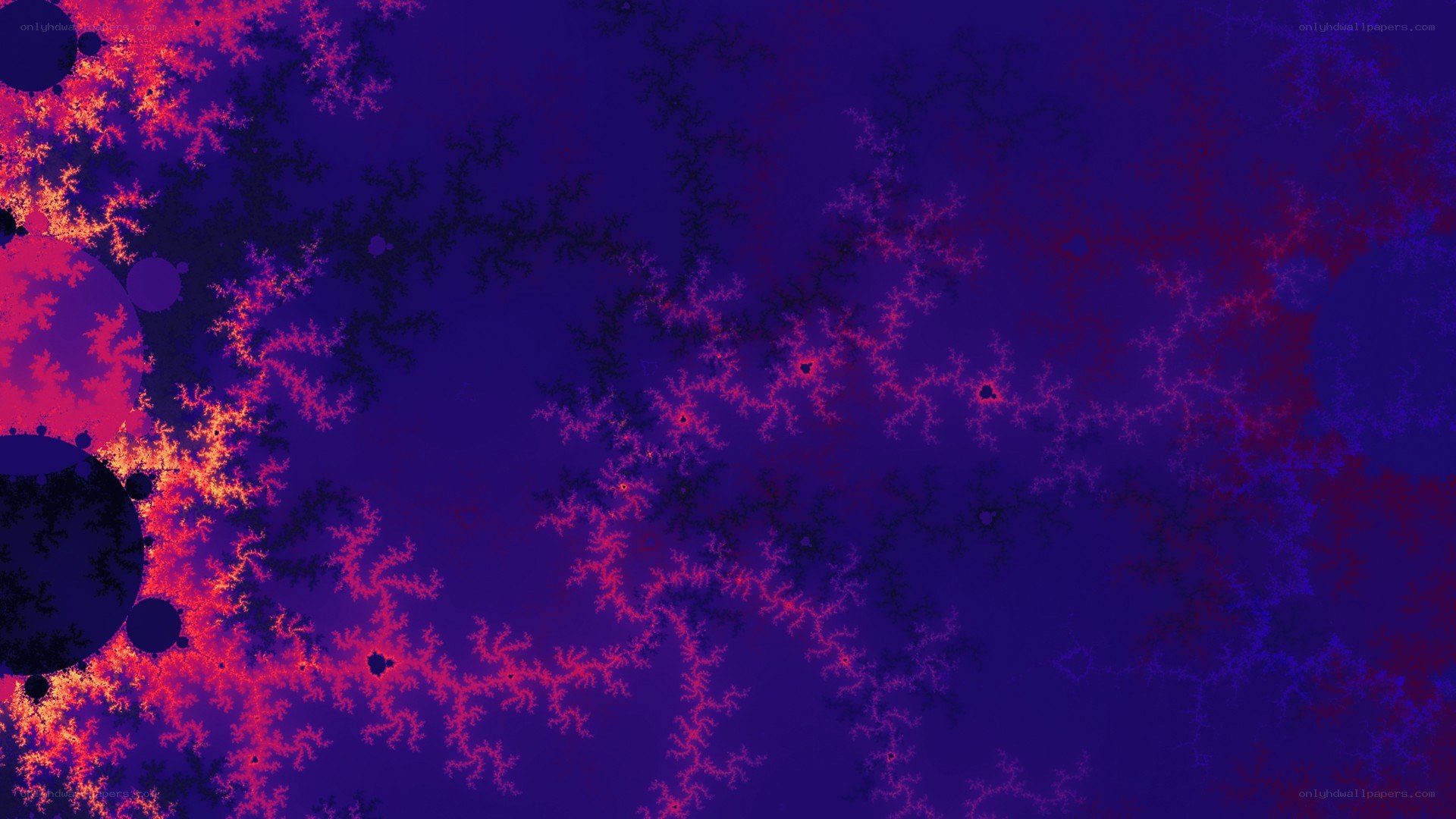fractal pattern with vibrant colors