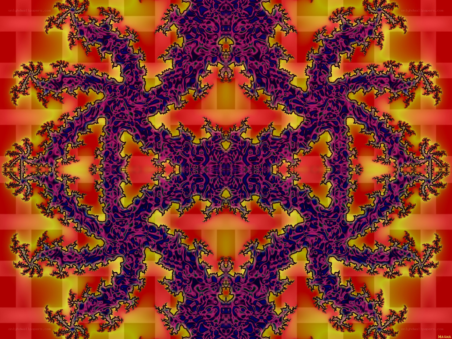 Fractal pattern with vibrant colors