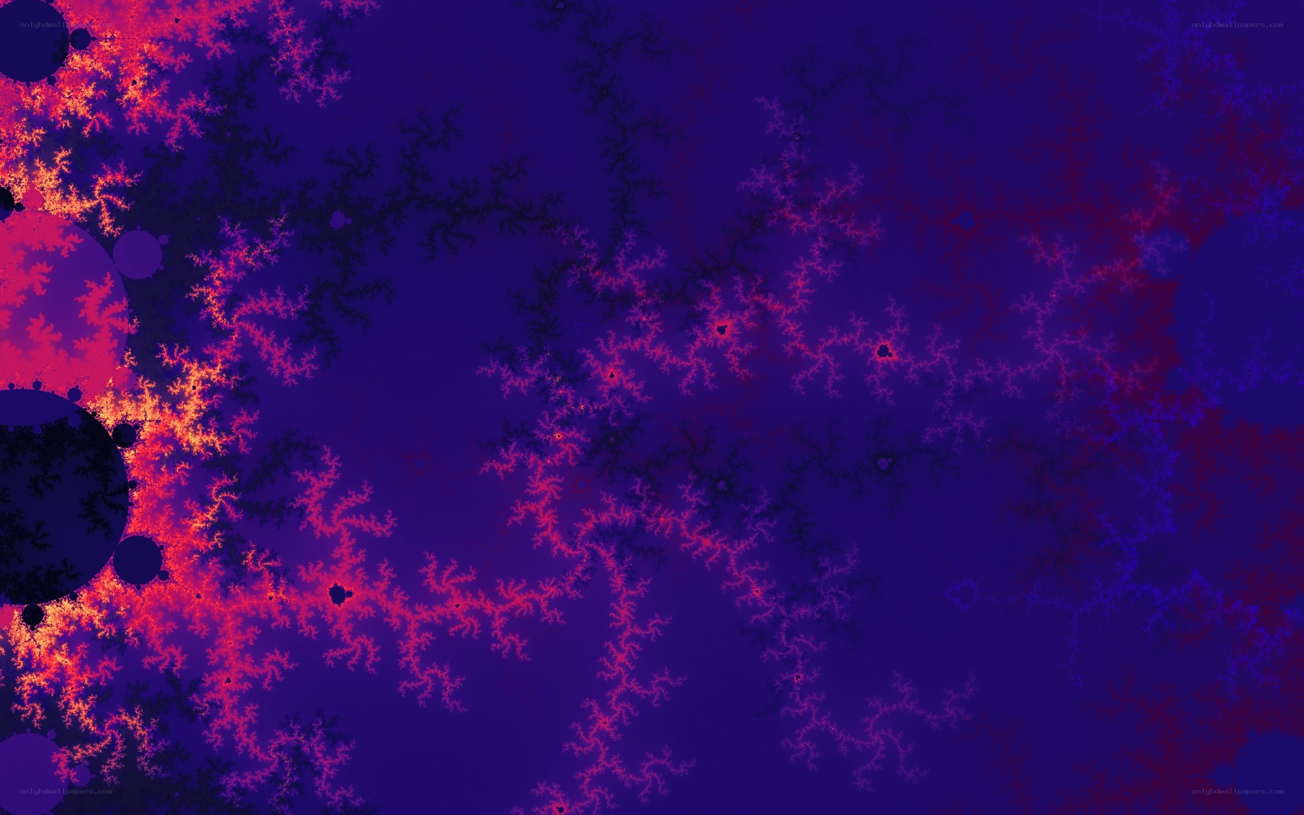 fractal pattern with vibrant colors