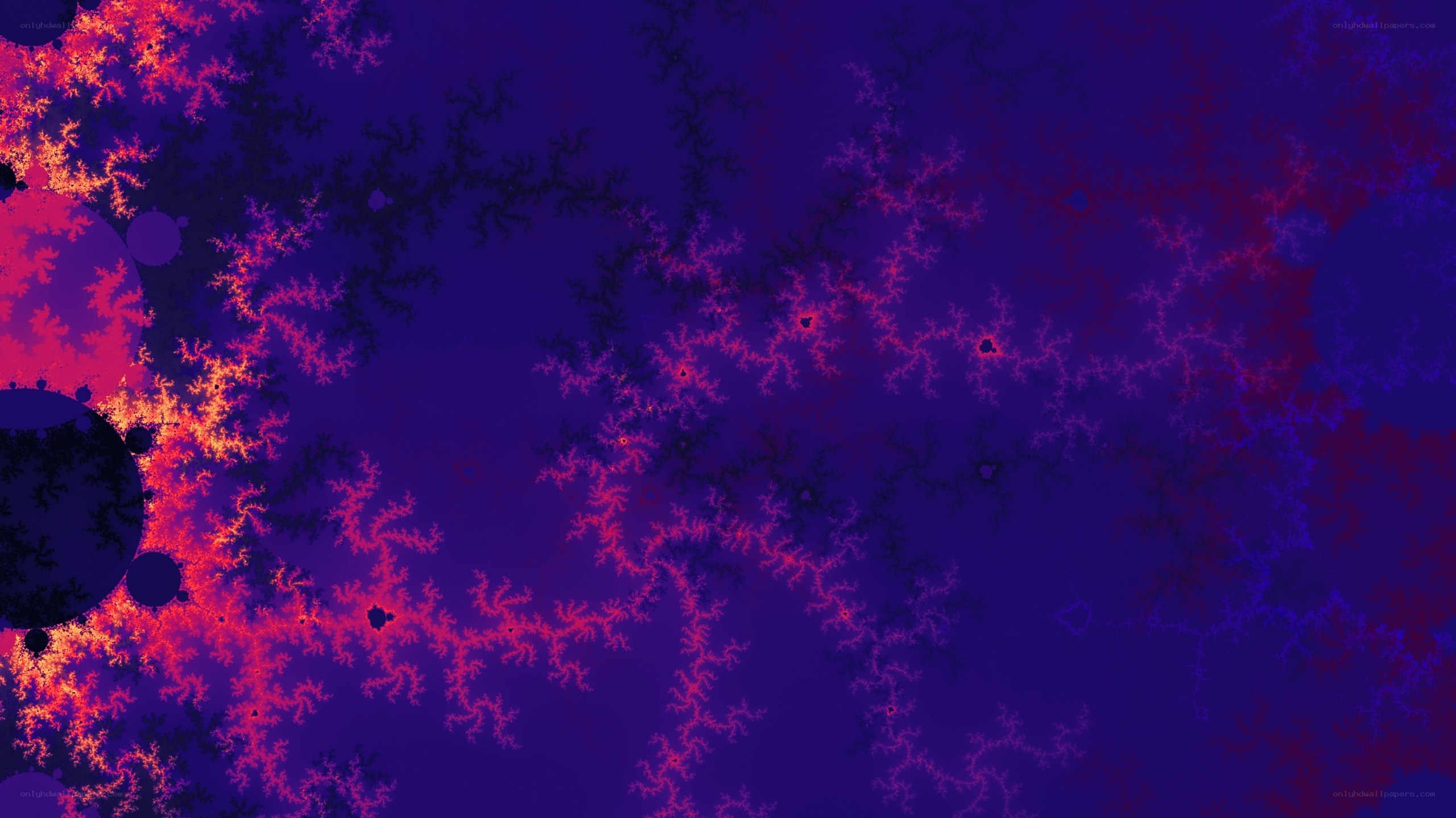 fractal pattern with vibrant colors