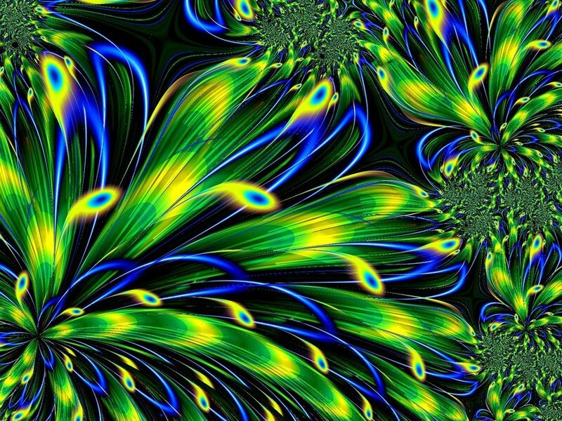 Fractal Peacock Feathers — Green