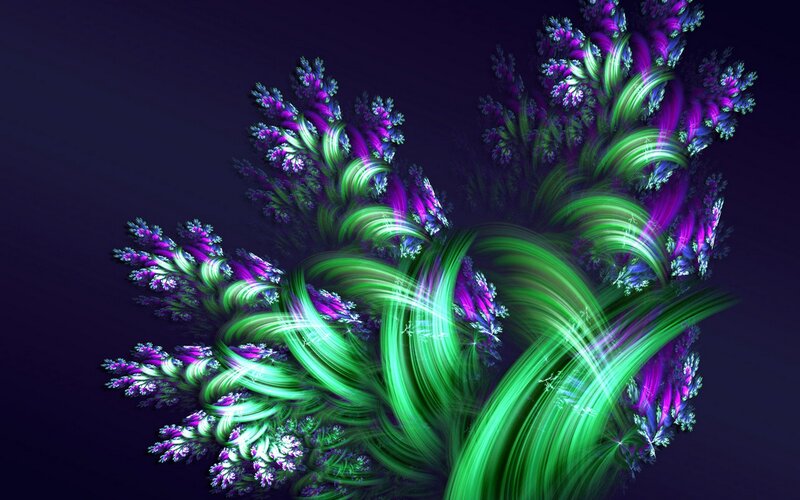 fractal plant design